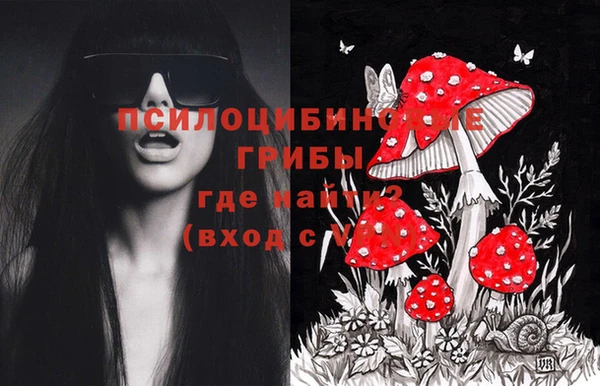 мет Медвежьегорск