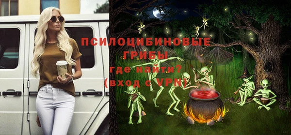 мет Медвежьегорск