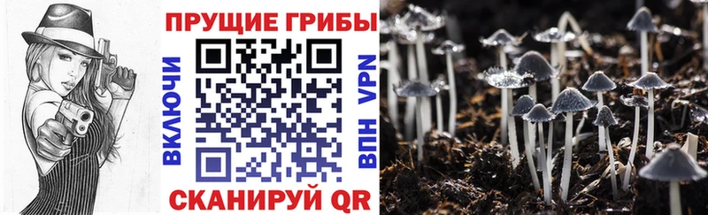 Галлюциногенные грибы мухоморы  Михайлов 